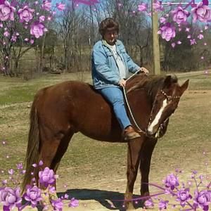 Meet your Posher, Tammy